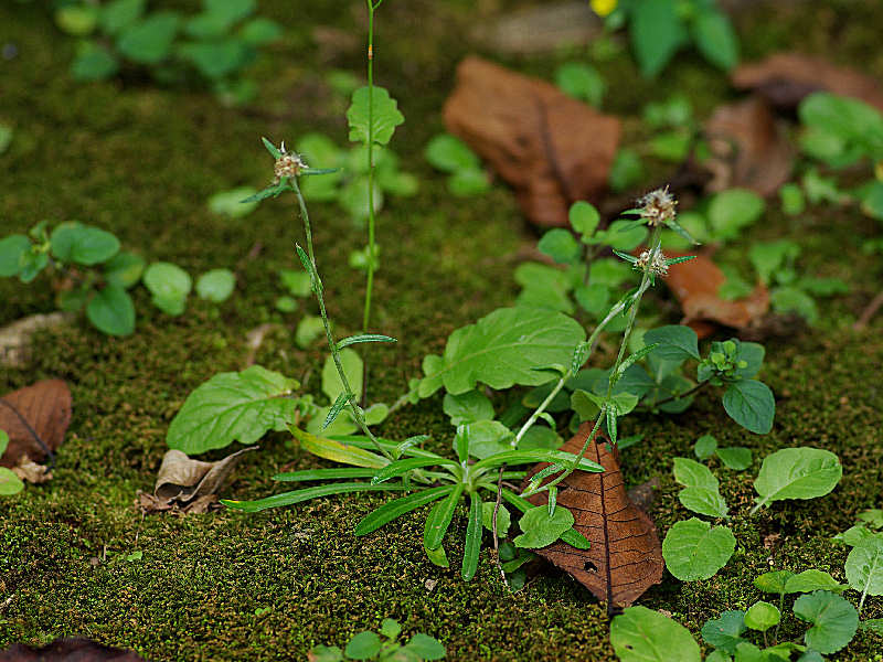 f0204094_22275167.jpg