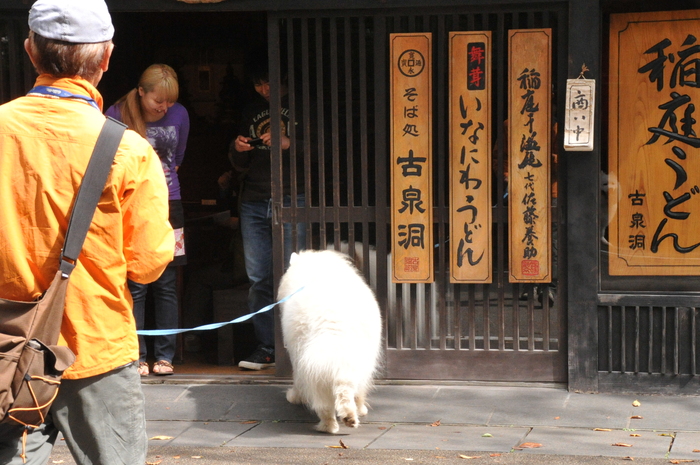 初秋のみちのくへ♪ part2_a0049296_19512360.jpg