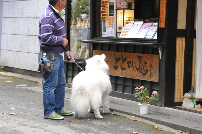 初秋のみちのくへ♪ part2_a0049296_19522251.jpg