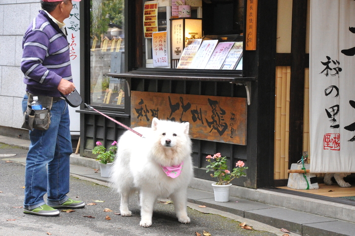 初秋のみちのくへ♪ part2_a0049296_19524122.jpg