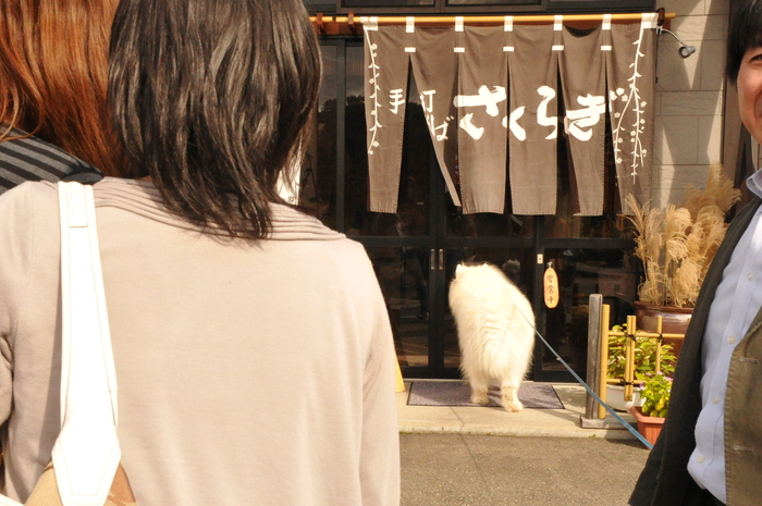 初秋のみちのくへ♪ part2_a0049296_1953250.jpg