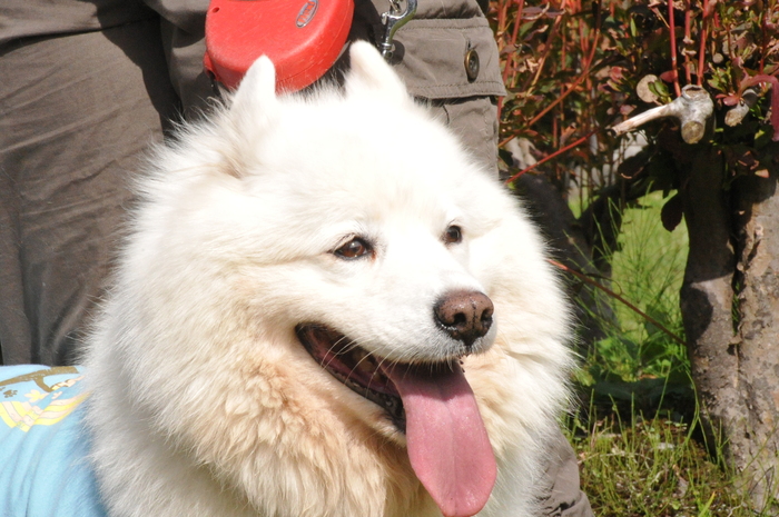 初秋のみちのくへ♪ part2_a0049296_19543280.jpg