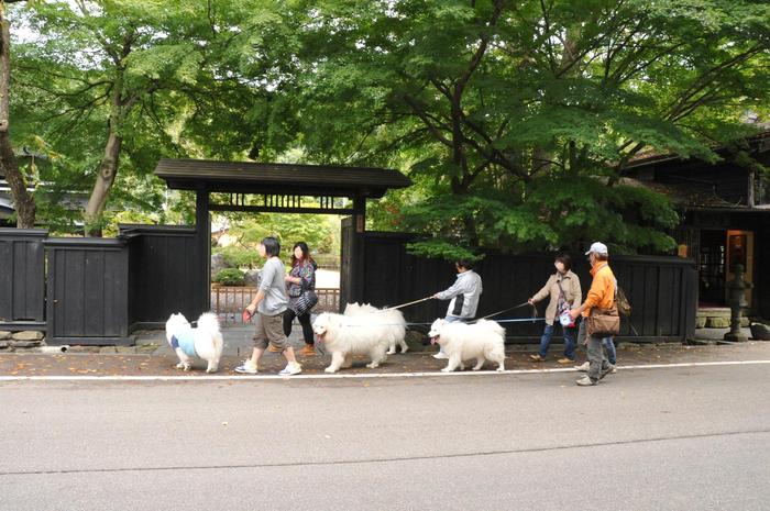 初秋のみちのくへ♪ part2_a0049296_19555162.jpg