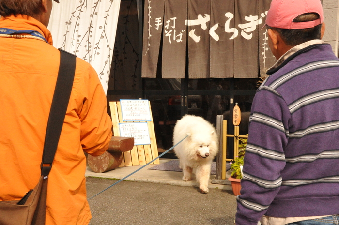 初秋のみちのくへ♪ part2_a0049296_20543535.jpg