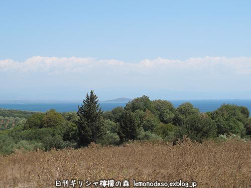c0010496_9321937.jpg