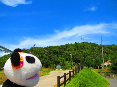 大岳(うぶだき)に登った!_f0033598_1743888.jpg