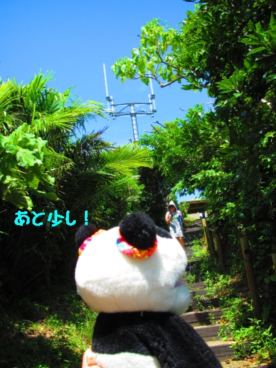 大岳(うぶだき)に登った!_f0033598_1752194.jpg