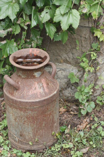 e0051200_716272.jpg
