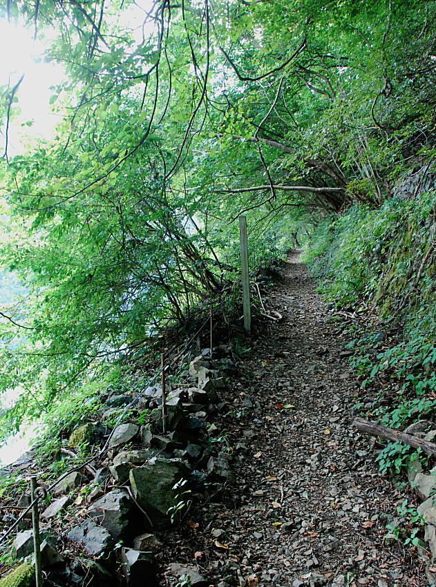 c0193901_1904964.jpg