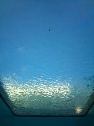 e0021001_1357542.jpg