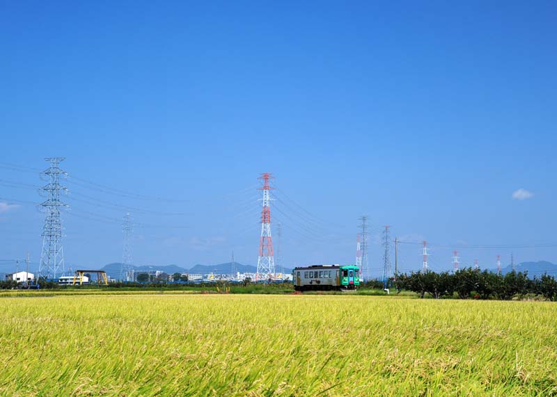 a0044202_801229.jpg