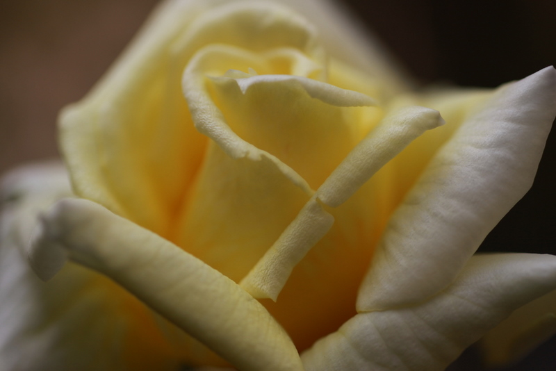 d0248502_184653.jpg