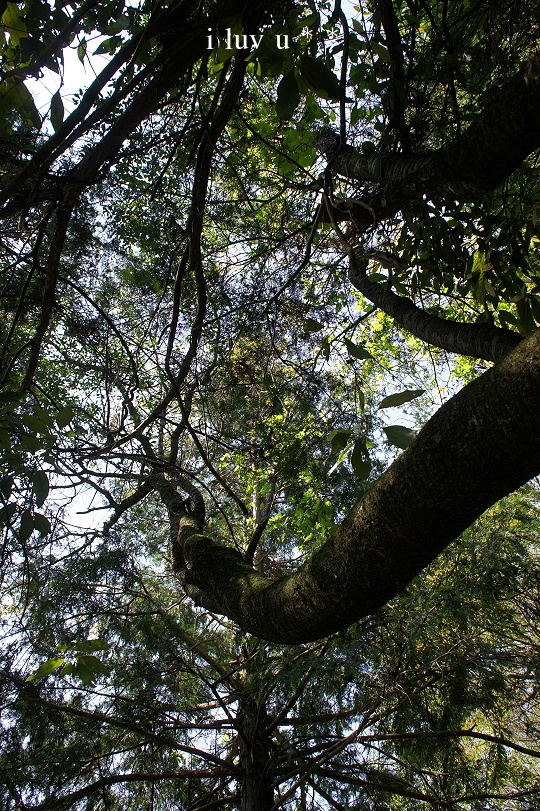 a0204003_1250894.jpg