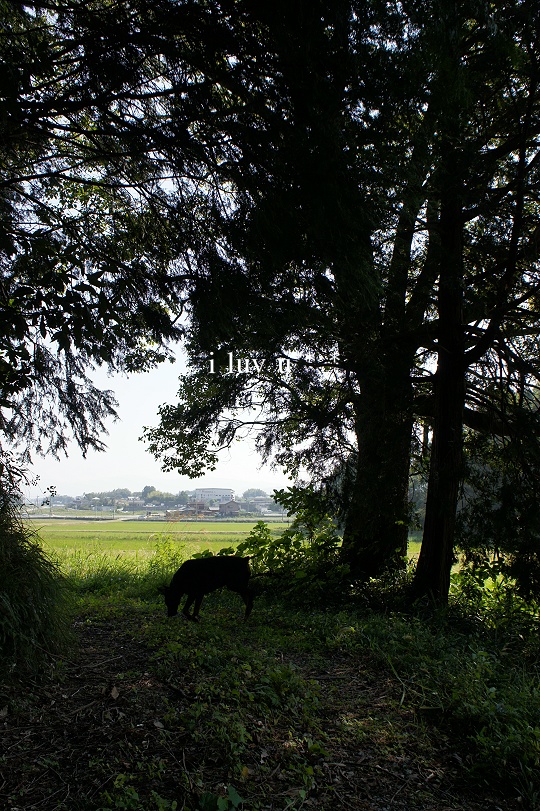 a0204003_1255764.jpg