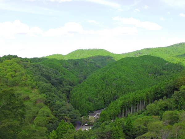 c0228404_8161524.jpg