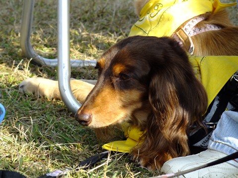 e0242804_2375190.jpg