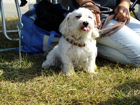 e0242804_2392281.jpg