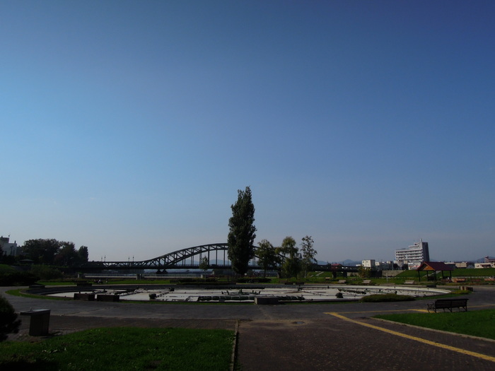 d0160307_17235373.jpg
