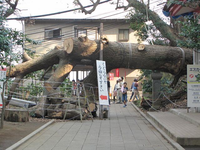 f0198909_20152026.jpg