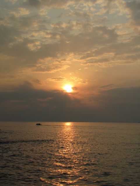f0198909_2017504.jpg