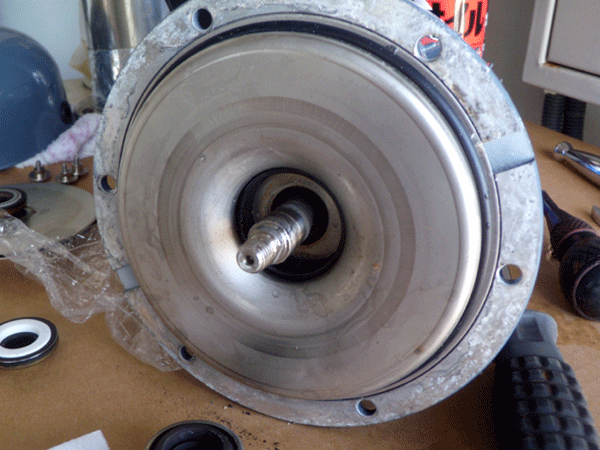 b0159611_0545788.gif