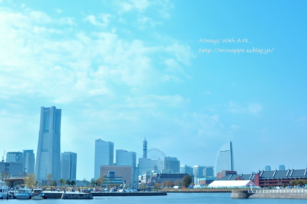e0005411_8453166.jpg
