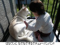 仲良き事は喜ばし事…なのか!?_c0182012_11261939.jpg