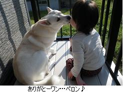 仲良き事は喜ばし事…なのか!?_c0182012_1126285.jpg