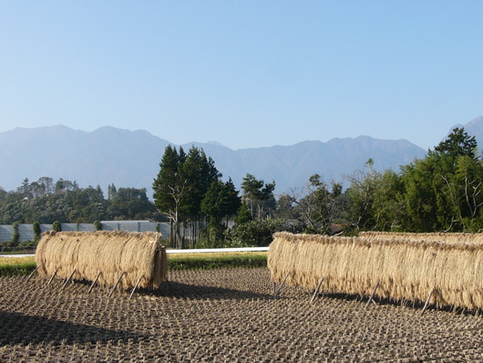 d0183417_22305297.jpg