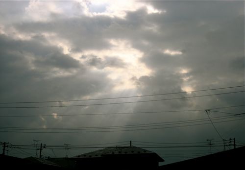 ヤコブの梯子 11 10 09 Sun 花 旅 人