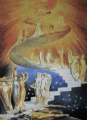 ヤコブの梯子 11 10 09 Sun 花 旅 人