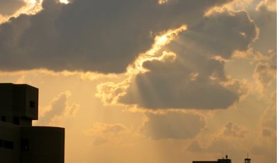 ヤコブの梯子 11 10 09 Sun 花 旅 人