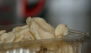 f0170524_190295.jpg