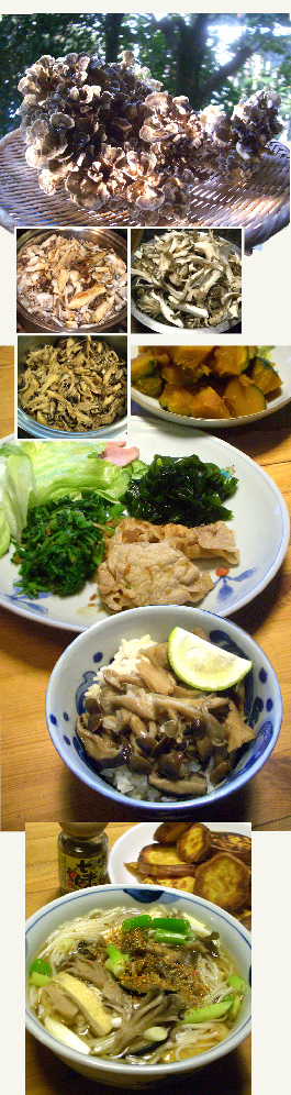 d0043225_18824100.jpg