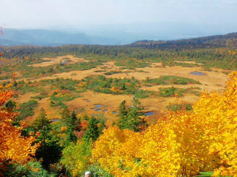 紅葉大陸、東北へ！_a0126128_17513045.jpg