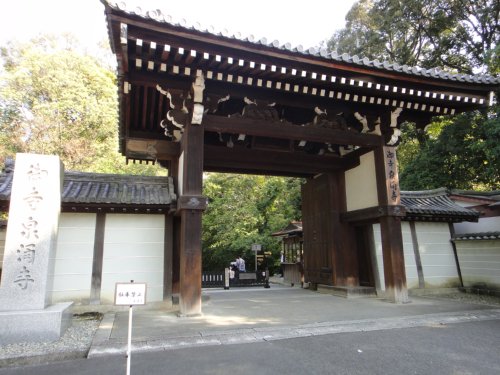 東福寺・泉湧寺_b0004229_1825810.jpg