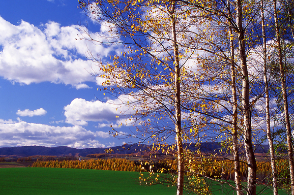 e0249131_11303381.jpg