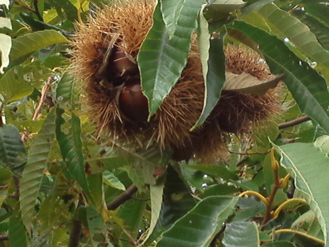 c0045237_22272895.jpg