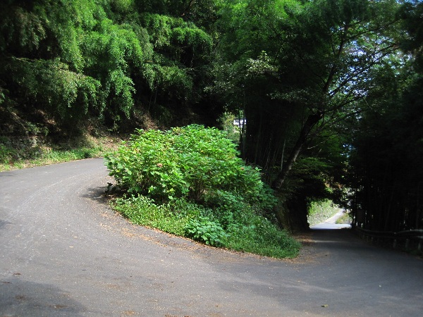 b0149340_10491488.jpg