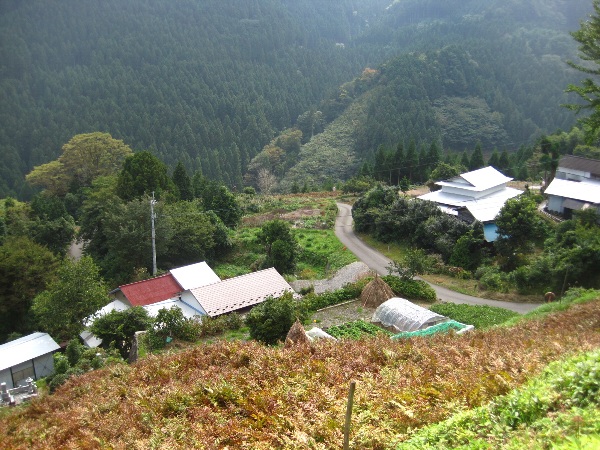 b0149340_1051596.jpg