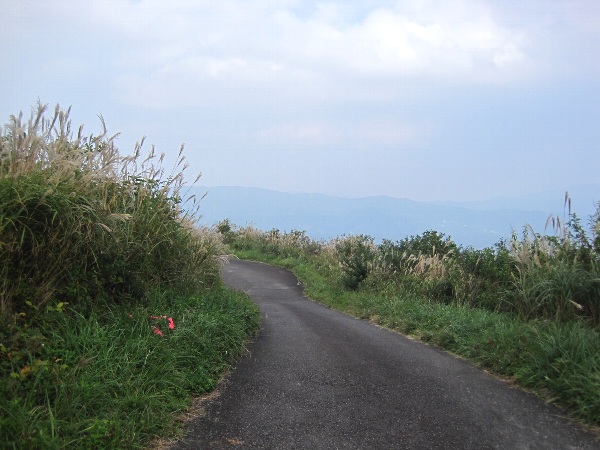 b0149340_13321716.jpg