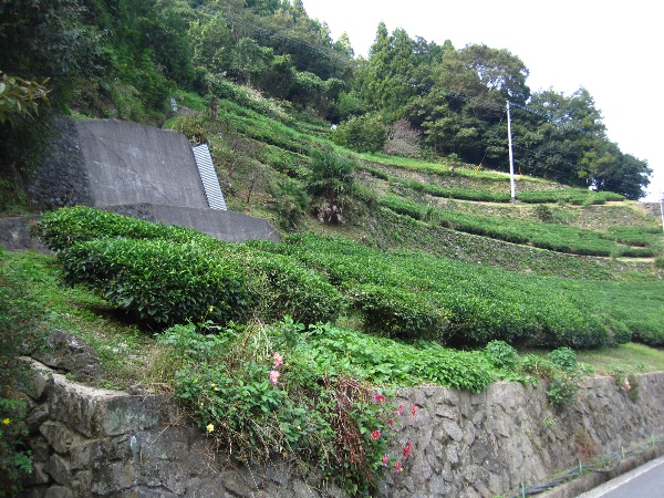 b0149340_13455598.jpg