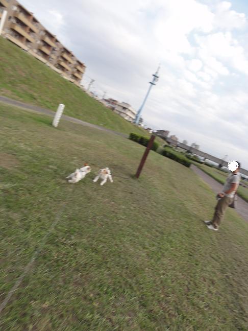 c0156345_95050.jpg