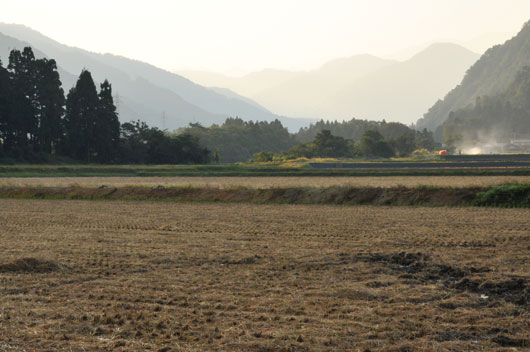 c0093046_8471988.jpg