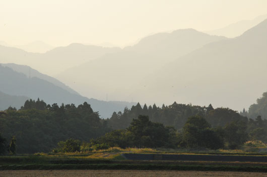 c0093046_8473776.jpg