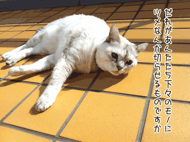f0116546_18342666.gif