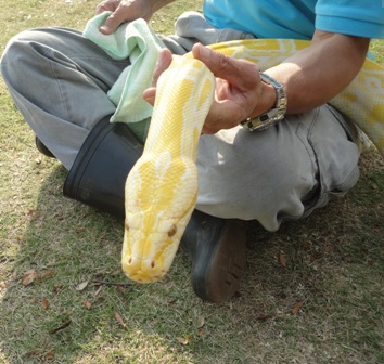 動物園♪_e0170852_1525976.jpg