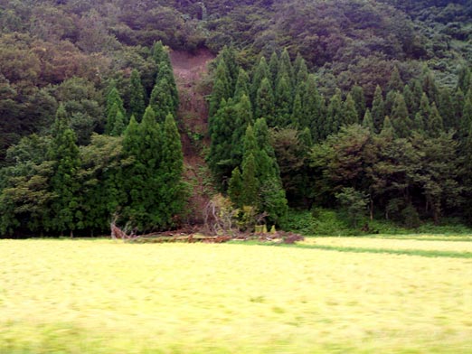 c0039153_1725248.jpg