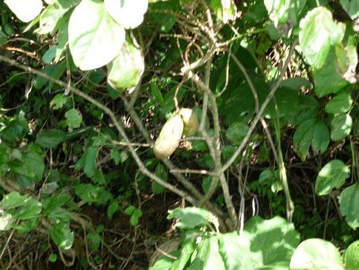 c0039153_1728076.jpg