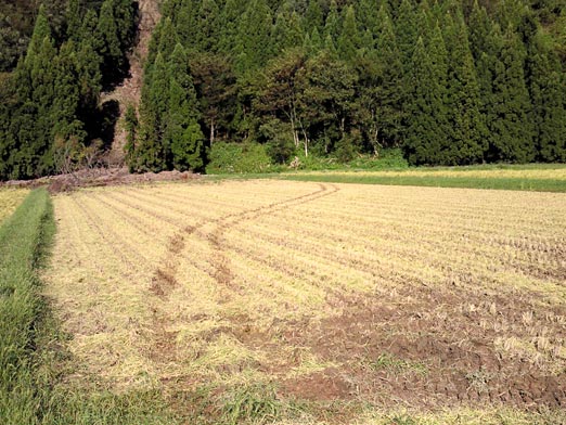c0039153_172816100.jpg